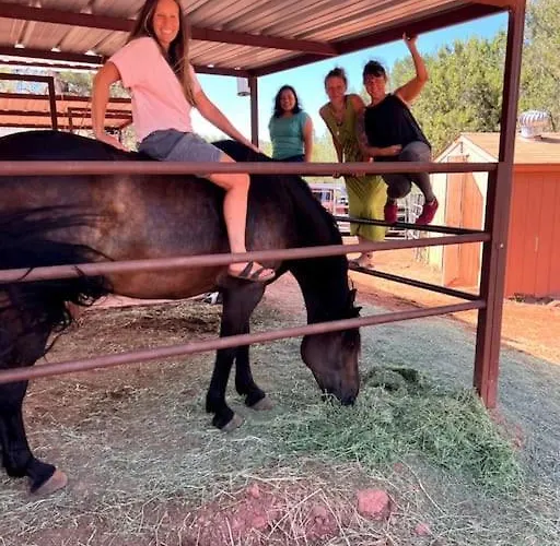 The Deer - Horses Sedonas Loved Sedona